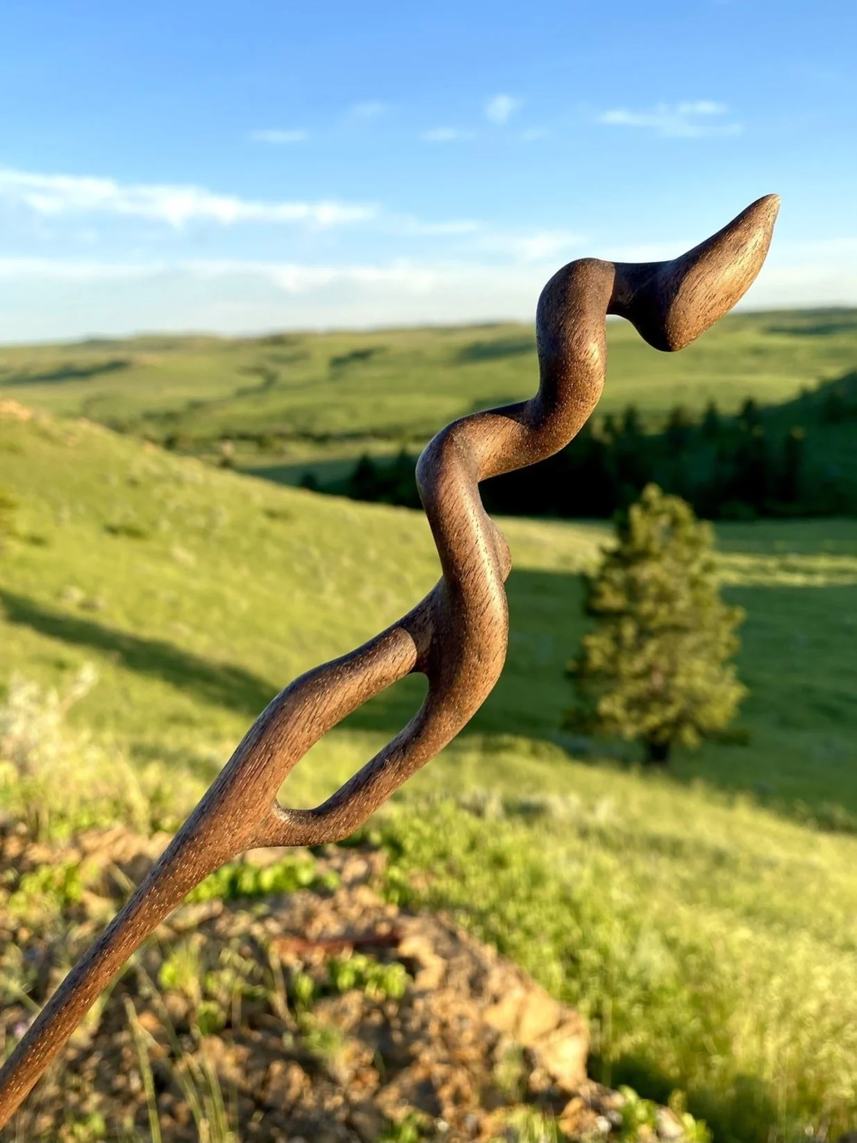 Wands in the Wild — Prairie to Pines